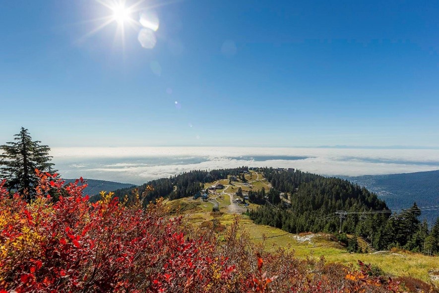 Fall in Grouse Mountain