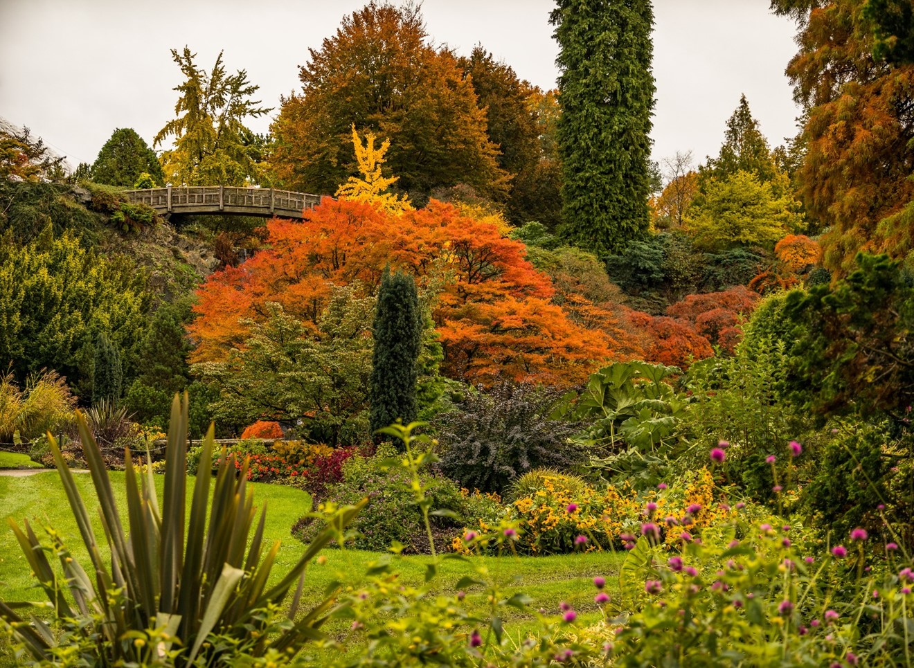 Fall in Queen Elizabeth Park