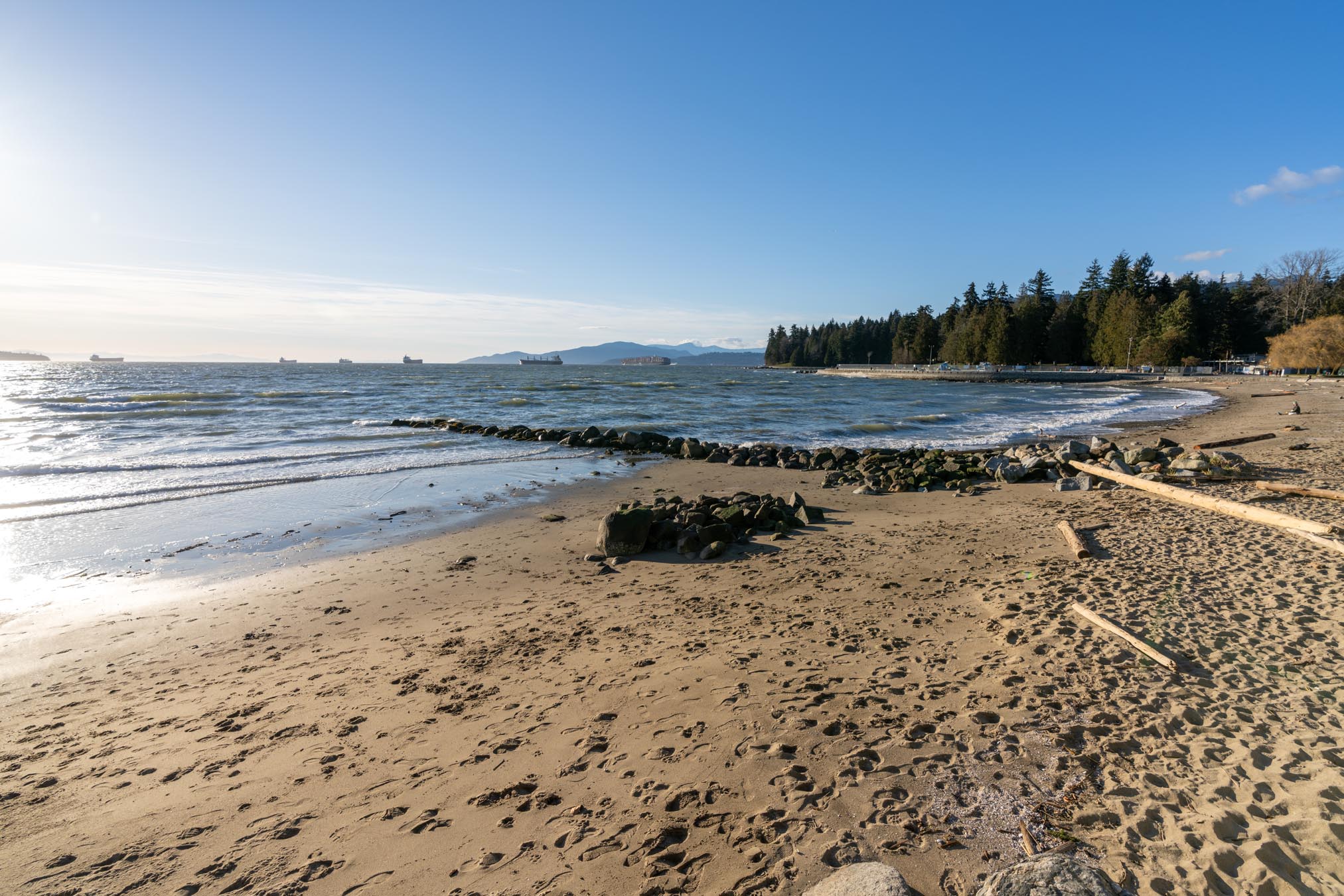 Beach with trees in background